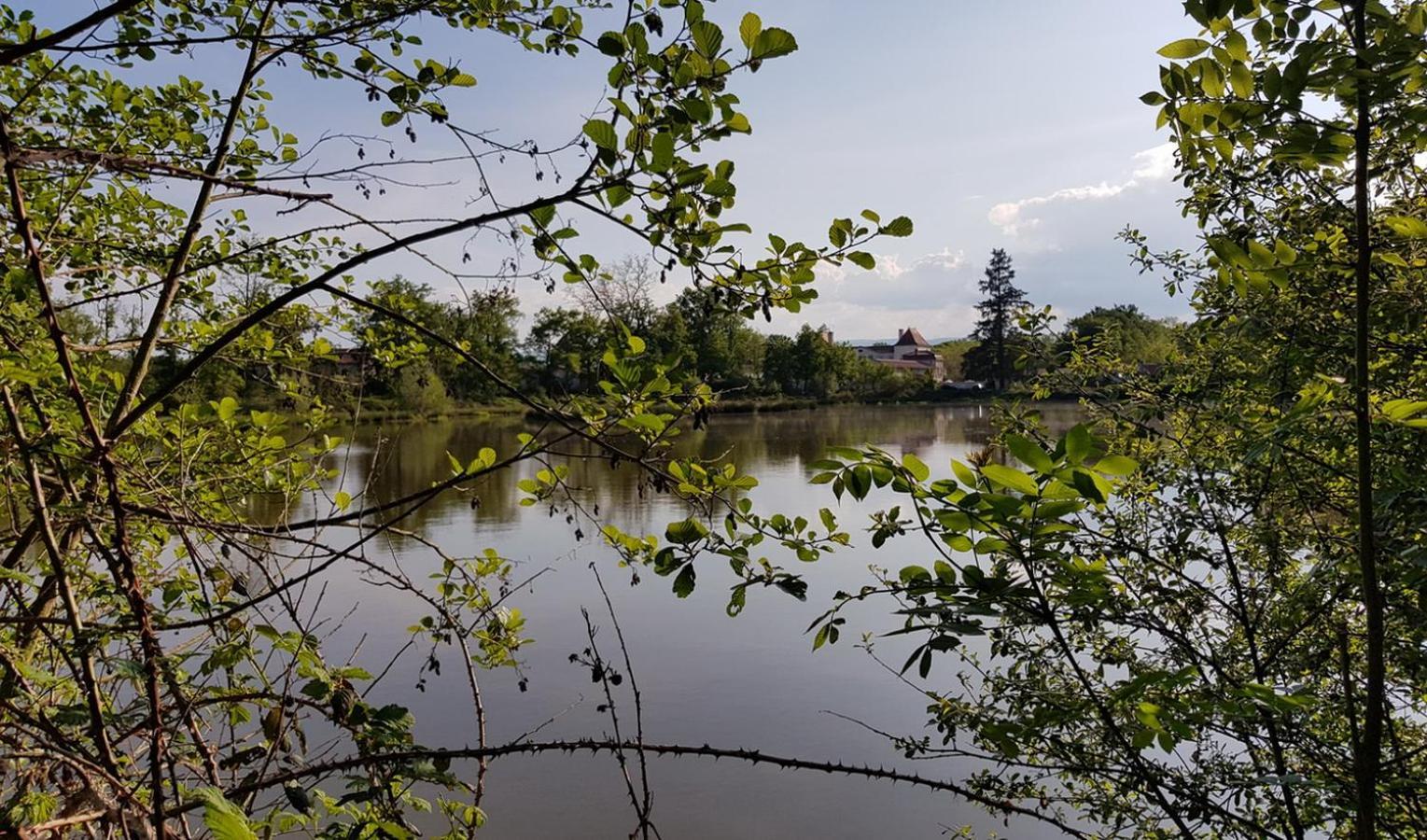 Chateau Des Perichons Poncins Exteriér fotografie