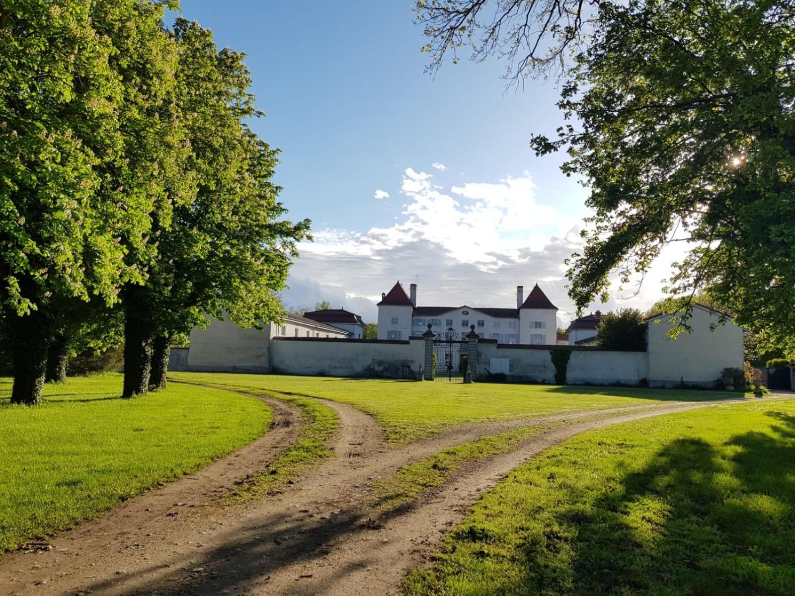 Chateau Des Perichons Poncins Exteriér fotografie